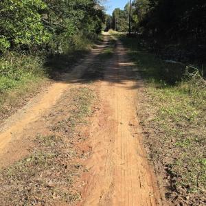 20241116_120333 (1) (1)