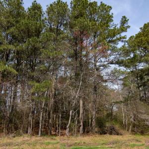 Photo #3 of Lot 862 BROADSIDE DR, GREENBACKVILLE, VA 0.2 acres