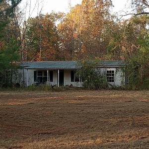 IMG_20241126_160919411