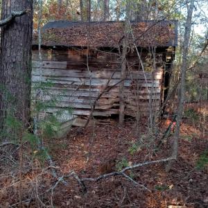 IMG_20241126_155812367