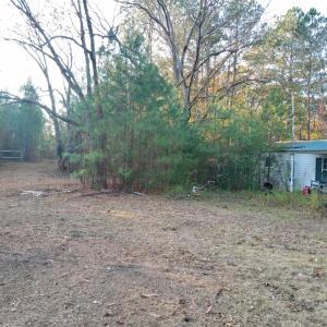 IMG_20241126_160810712_HDR