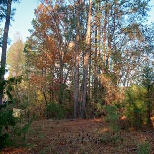 IMG_20241126_160523483_HDR