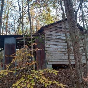 IMG_20241126_160430294_HDR