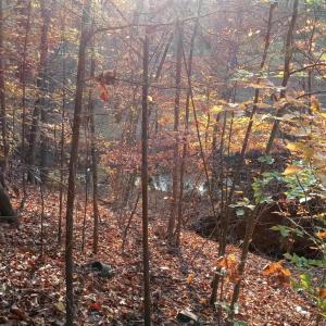 IMG_20241126_155927735