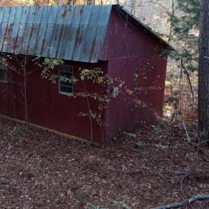 IMG_20241126_155820223