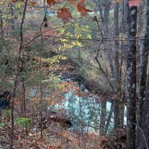 IMG_20241126_160026320_HDR