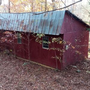 IMG_20241126_155823444