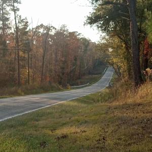 IMG_20241126_160903365