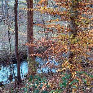 IMG_20241126_160045991_HDR