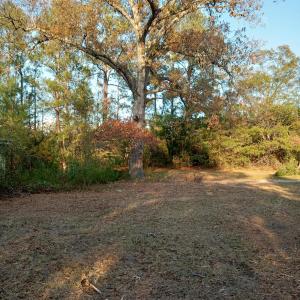 IMG_20241126_160744881_HDR