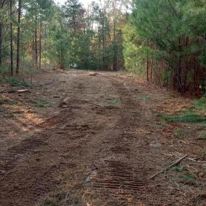 IMG_20241126_155602027_HDR