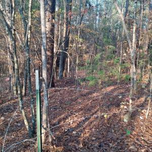 IMG_20241126_160349812_HDR