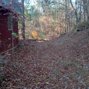 IMG_20241126_160315434_HDR