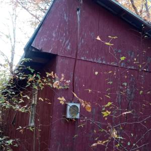 IMG_20241126_155904901