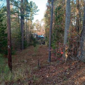 IMG_20241126_160546598_HDR