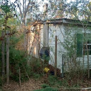 IMG_20241126_160722434_HDR