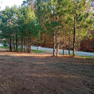 IMG_20241126_160710821_HDR