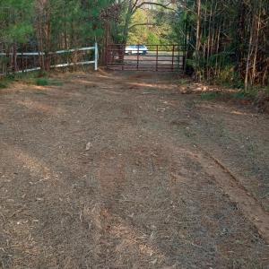 IMG_20241126_155620558_HDR