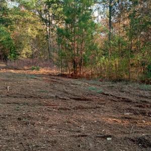 IMG_20241126_155703723_HDR