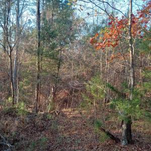 IMG_20241126_160339600_HDR