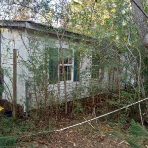 IMG_20241126_160724854_HDR