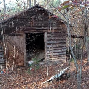 IMG_20241126_155750500