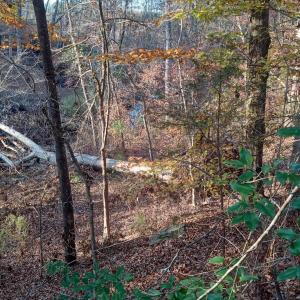 IMG_20241126_160049948_HDR