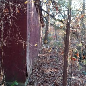 IMG_20241126_155933037