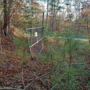 IMG_20241126_160243222_HDR