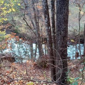 IMG_20241126_160033417_HDR