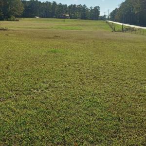 IMG_20241115_144750236_HDR