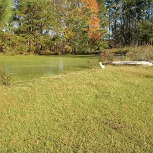 IMG_20241115_144815798