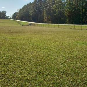 IMG_20241115_144853032_HDR