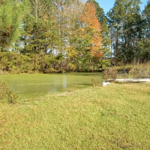 IMG_20241115_144804305