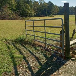 IMG_20241115_144733705_HDR