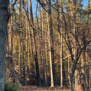 Tract F Martintown Rd main photo