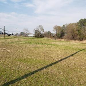 Resized_20240313_172820