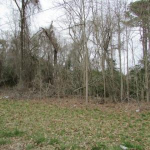 Photo #2 of Lot 13 WALLOPS MILLPOND RD, NEW CHURCH, VA 0.7 acres