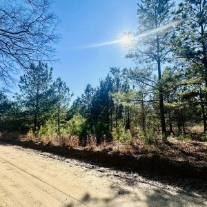 Barnwell LAnd Listing photosIMG_7524