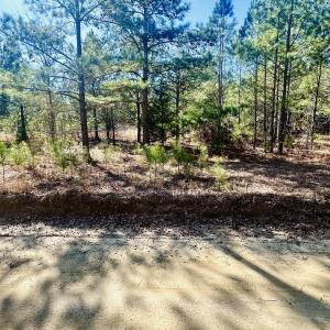 Barnwell LAnd Listing photosIMG_7527