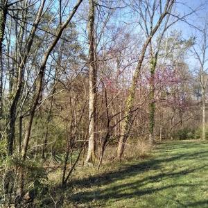 Photo #2 of First Ave., Farmville, VA 0.7 acres