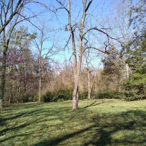 Photo #3 of First Ave., Farmville, VA 0.7 acres