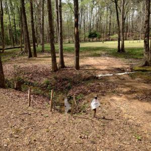 IMG_20250331_123526177_HDR