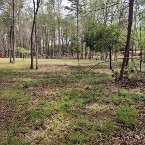 IMG_20250331_124210566_HDR