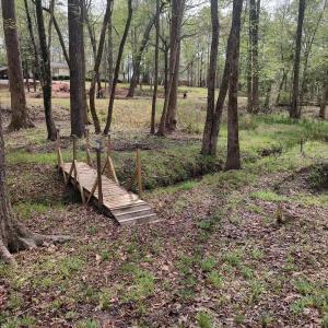 IMG_20250331_124531980_HDR