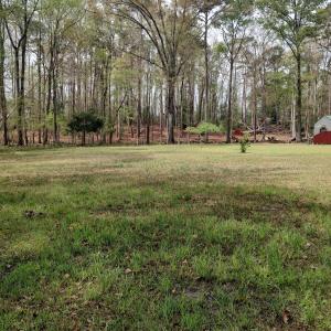 IMG_20250331_124545546_HDR