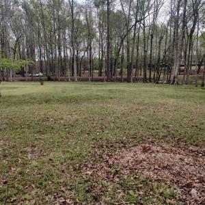 IMG_20250331_124032008_HDR