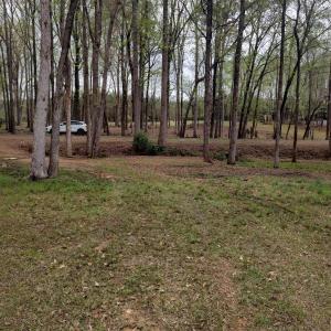 IMG_20250331_123840089_HDR