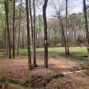 IMG_20250331_124657895_HDR