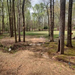 IMG_20250331_123519791_HDR